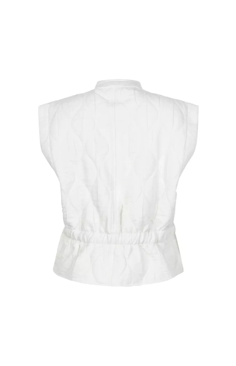 Zoso 261 Miranda 2 Zoso Zoso 261 Miranda